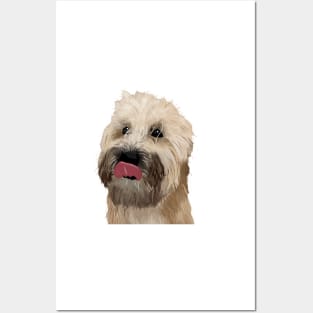 Wheaten Puppy Posters and Art